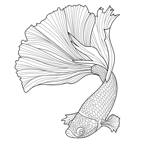 červené auto | Online omaľovánky pre deti