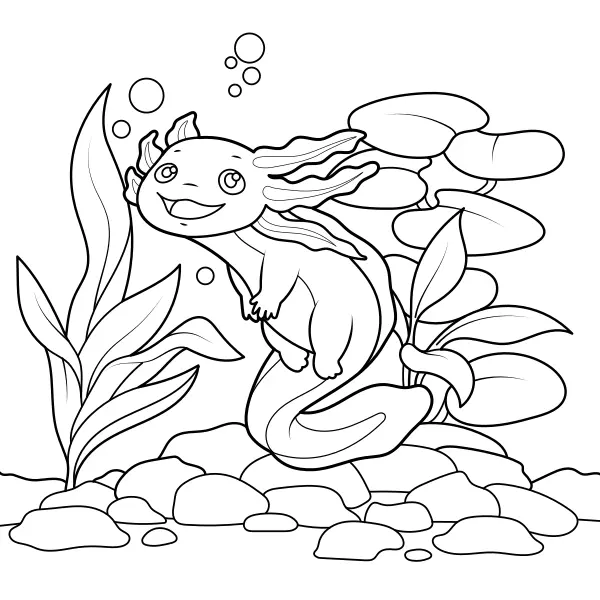 Axolotl | Online omaľovánky pre deti