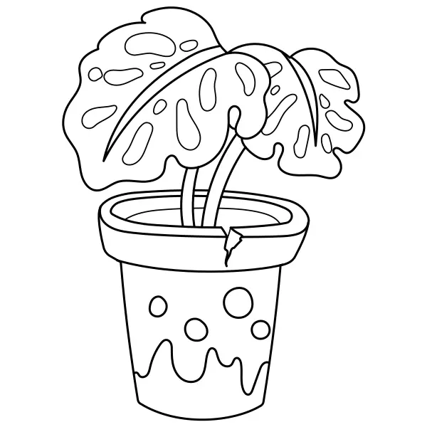 Rastlina Monstera | Online omaľovánky pre deti